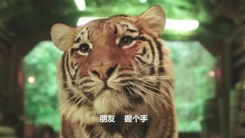 一只老虎当电影主角，片酬居然3千万，这演技可杠杠的！