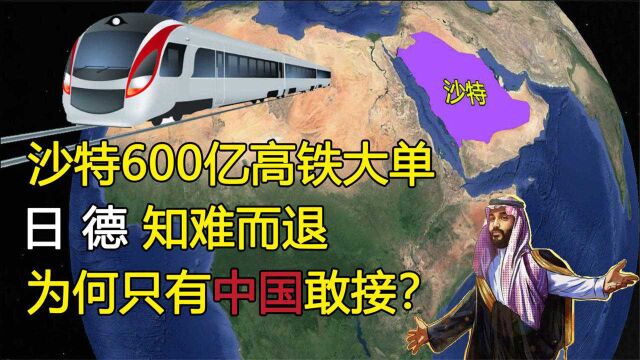 沙特600亿建高铁铁路订单无人敢接?中国果断拿下订单,了解下