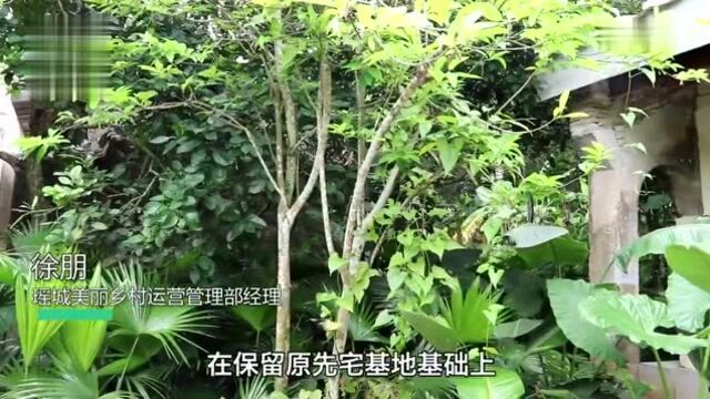 乡村振兴注入文化魂 瑶城古村打造海口文旅新名片