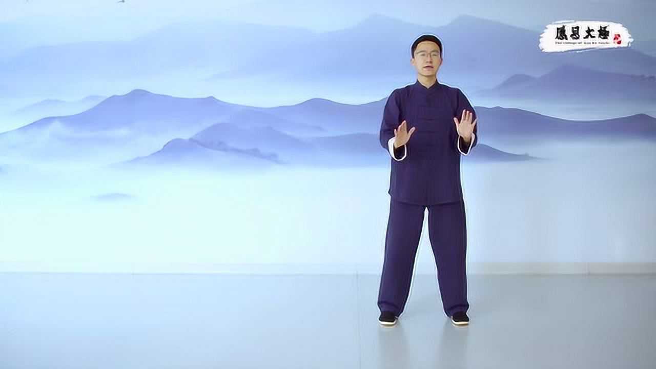 杨大卫演练传统杨氏太极拳85式第五段口令版