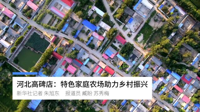 河北高碑店:特色家庭农场助力乡村振兴