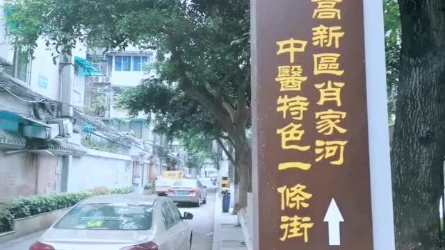 视频丨肖家河打造“中医特色街” 推广中医医疗在社区延伸