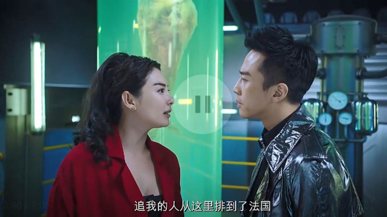 美人鱼张雨绮追我的人从这里排到了法国你居然去泡一条鱼