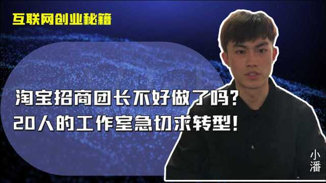 干货分享:淘宝招商团长为什么转型呢?