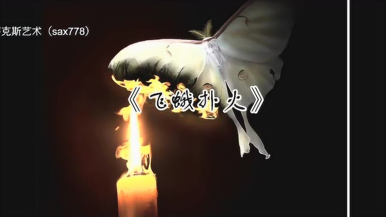 飞蛾扑火 萨克斯
