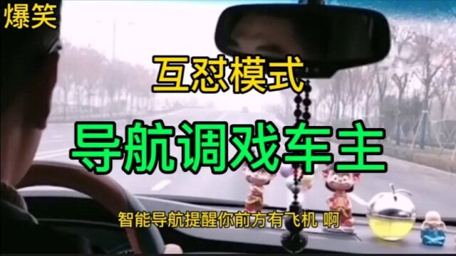 爆笑沙雕导航:导航开启损人模式和车主互怼,太搞笑了!