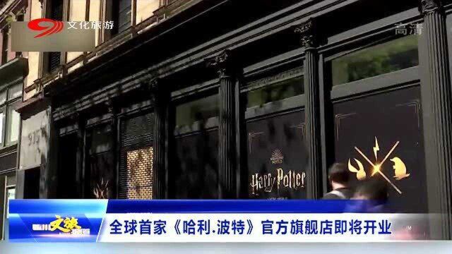 全国首家!《哈利波特》官方旗舰店即将开业