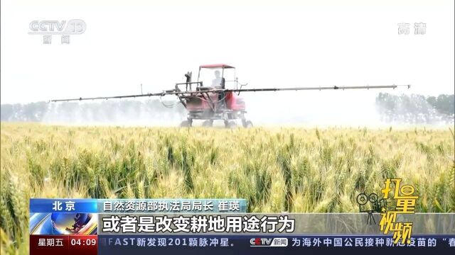 自然资源部:持续打击违法占用耕地、永久基本农田行为