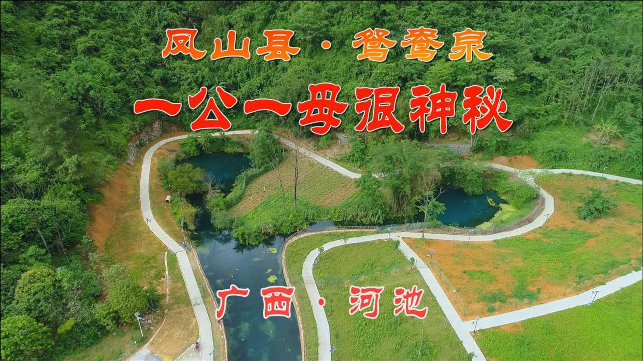 广西凤山县神秘的鸳鸯泉一公一母很有特色周边村生了很多双胞胎_腾讯视频