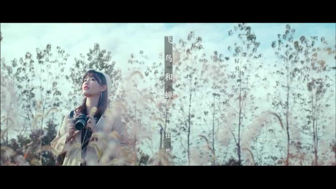 任然《飞鸟和蝉》官方MV