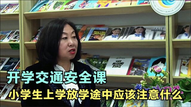 开学交通安全课:小学生上学放学途中应该注意什么?你知道吗