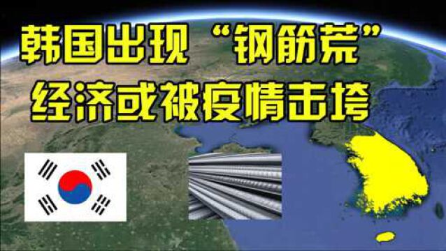 韩国现“钢筋荒”,主要进口国是中国,为何中国叫停出口韩国钢筋