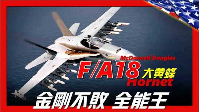 【FA18大黄蜂】世界首个执行斩首行动,称霸全球海洋的多功能战机,直到退役从无败绩