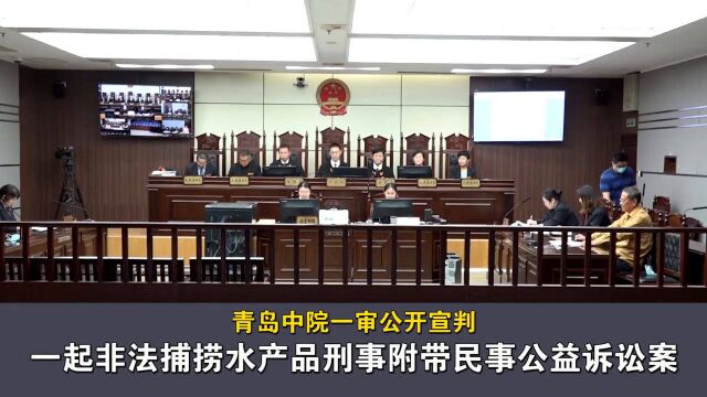 青岛中院一审公开宣判一起非法捕捞水产品刑事附带民事公益诉讼案