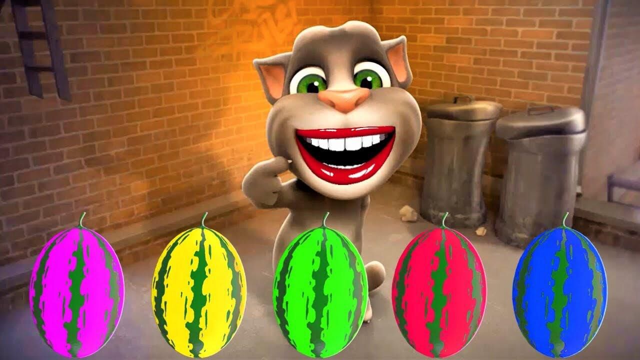 会说话的汤姆猫:汤姆猫挑战5种颜色的西瓜