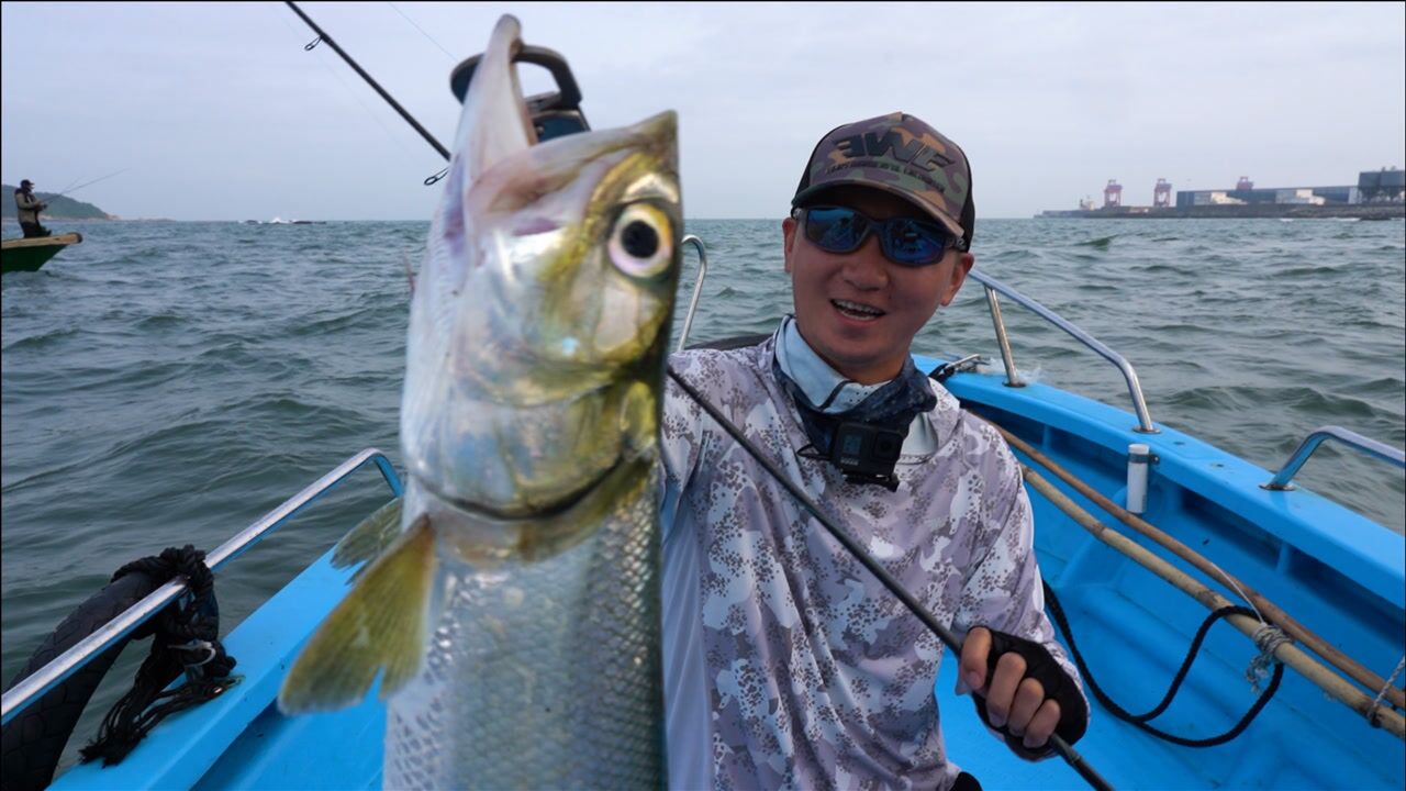 妖刀三代挑战疯狂洗鳃的海鲢_腾讯视频