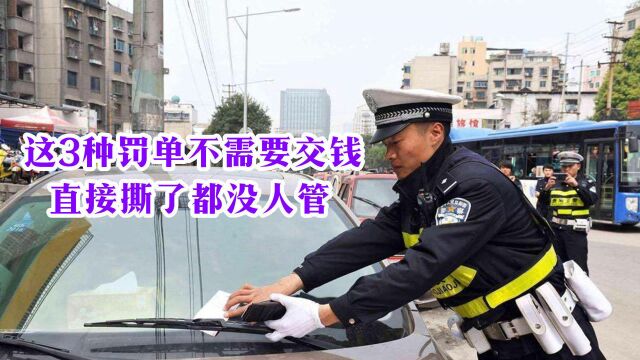 交警:这3种罚单不需要交钱?直接撕了没人管?别再吃亏了?