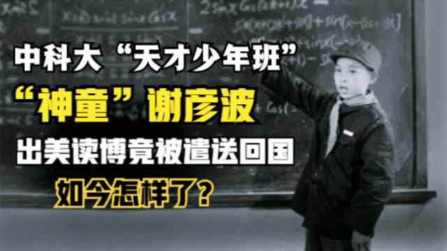 43年前,那个考入中科院,出美读博的“神童”谢彦波,如今怎样了