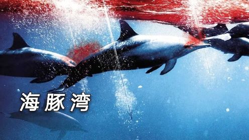 9.3高评分纪录片《海豚湾》，导演亲自卧底他国，捕杀场面令人震撼心灵！热爱自然，保护动物！#电影种草指南短视频大赛#