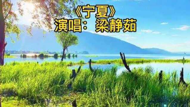 梁静茹经典怀旧歌曲《宁夏》,全是小时候记忆的味道,你听过吗