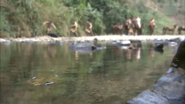 太极:野人竟是隐世高手,扛起野猪就走,完全不把土匪当回事!