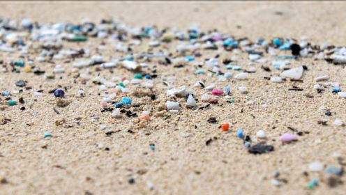 微塑料，海洋中的隐形杀手