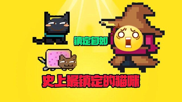 【元气骑士沙雕配音】史上最镇定的猫咪