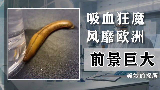 水蛭幼虫被人吸入体内后,会在人体内成长壮大吗?