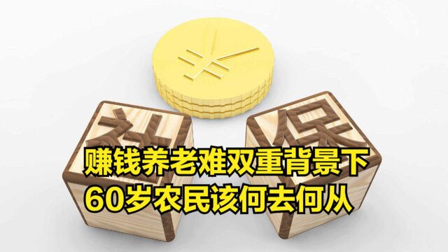 在赚钱养老难的双重背景下,60岁农民该何去何从?看专家怎么说