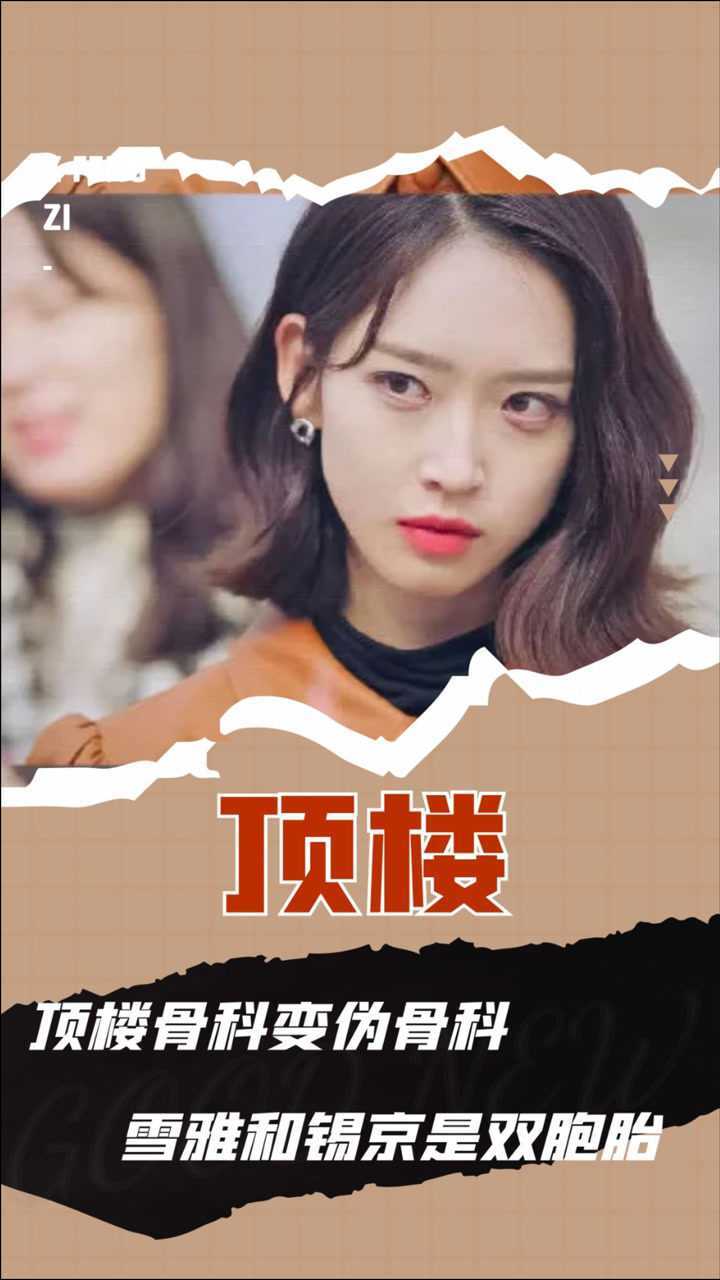 顶楼骨科变伪骨科雪雅和锡京竟然是双胞胎狗血到让人上头