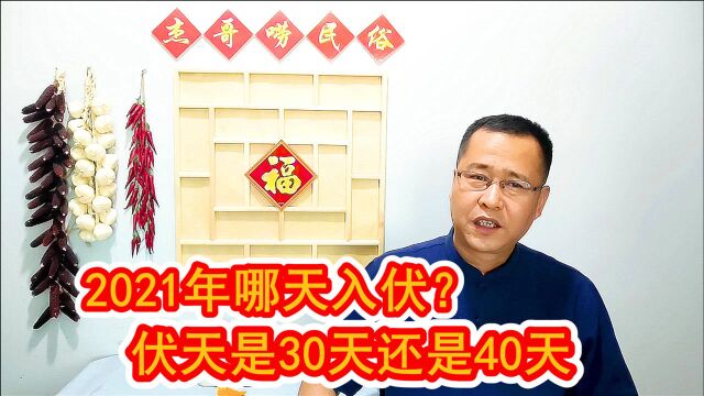 今年啥时候数伏?三伏天是30天还是40天?农村俗语告诉你