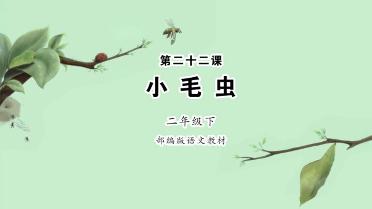 《小毛虫》小学语文二年级下册 课文朗读