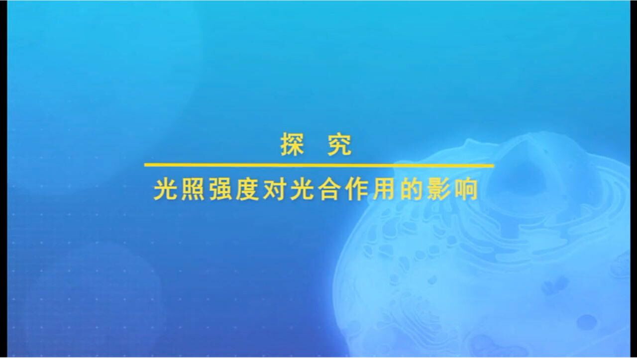 实验13.探究光照强度对光合作用的影响_高清