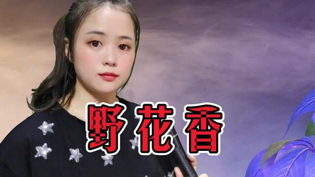 一首《野花香》DJ版,唱出别样风情,旋律深情悦耳!