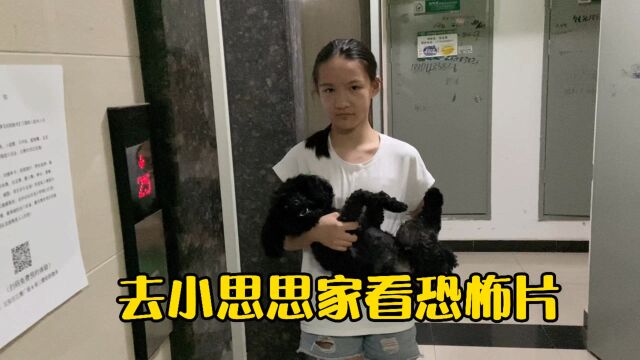 小娜子去闺蜜家看恐怖片,半夜害怕不敢回家,妈妈只好去接她