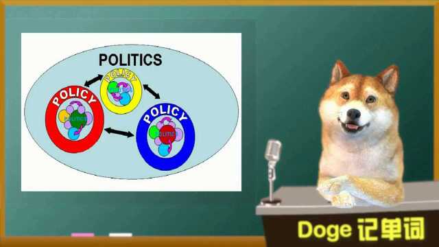 【Doge每日一词】politics 四六级考研英语单词