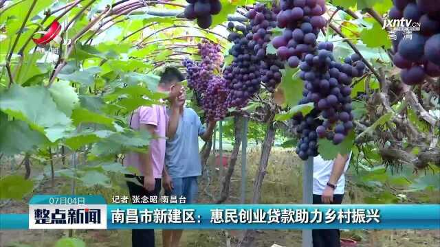 南昌市新建区:惠民创业贷款助力乡村振兴