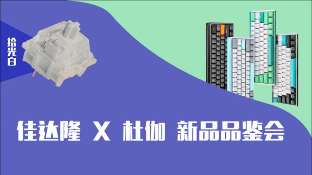 拾光白轴首发!佳达隆、杜伽线下品鉴会,了解背后的故事