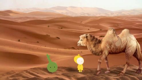 儿童科学启蒙课，带你认识沙漠里的动物和植物，沙漠是什么？