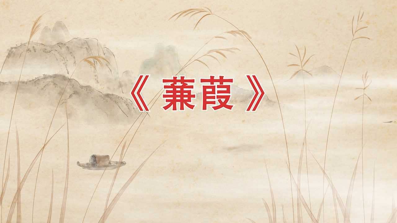 高清诗歌朗诵《蒹葭》led背景视频