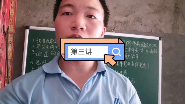 第三讲:如何有效学习肉牛养殖知识