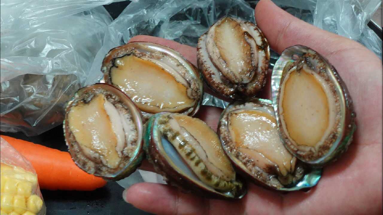 鲍鱼怎么做好吃？大厨教你新吃法，营养美味，做法也很简单_高清