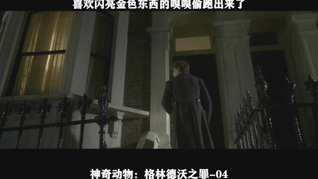 神奇动物:格林德沃之罪04 喜欢闪亮金色东西的嗅嗅,偷跑出来了