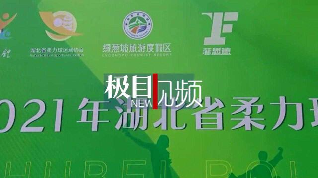 “柔”出高度、“柔”出活力,2021年湖北省柔力球项目集训圆满完成