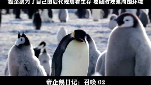 帝企鹅日记：召唤-02，雄企鹅为了自己的后代规划着生存 要随时观察周围环境