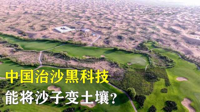 沙子能变成土?中国新型沙漠治理技术,将万亩沙漠变成良田!