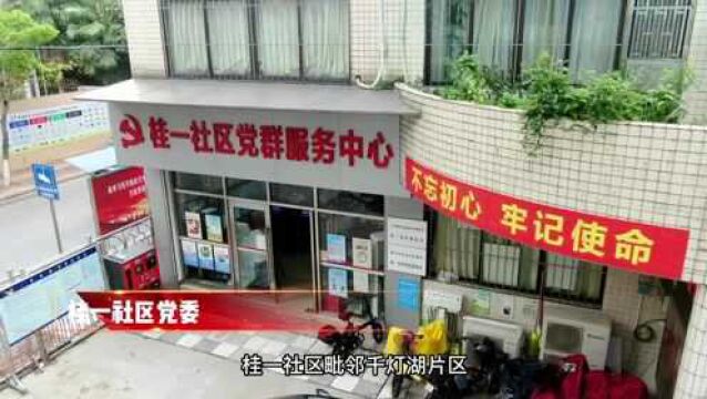 桂城街道基层党建系列报道(社区篇)桂一社区