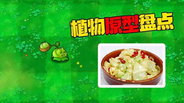 PVZ盘点:卷心菜投手?真好吃呀真强呀!