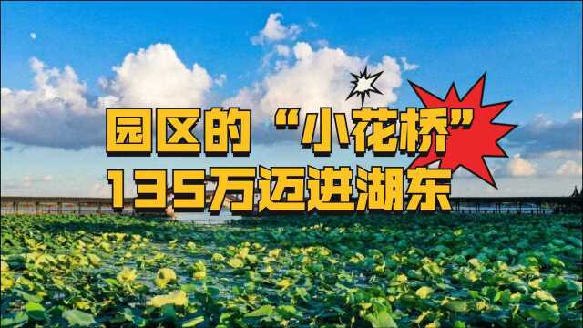 2013年错过了昆山花桥,2023年你还要错过园区“小花桥”吗?