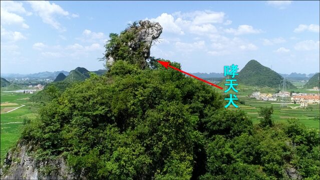 贵州一山顶长出“哮天犬”石山,千年无人敢动,守护着神州大地